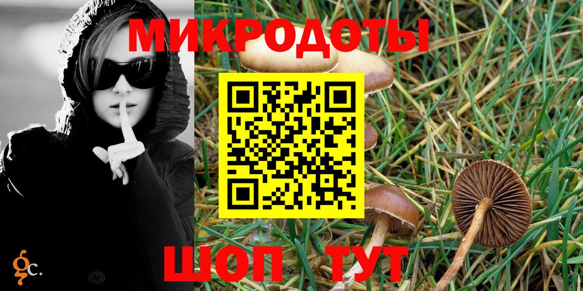 Кострома  Псилоцибиновые грибы прущие грибы  Вход с VPN 