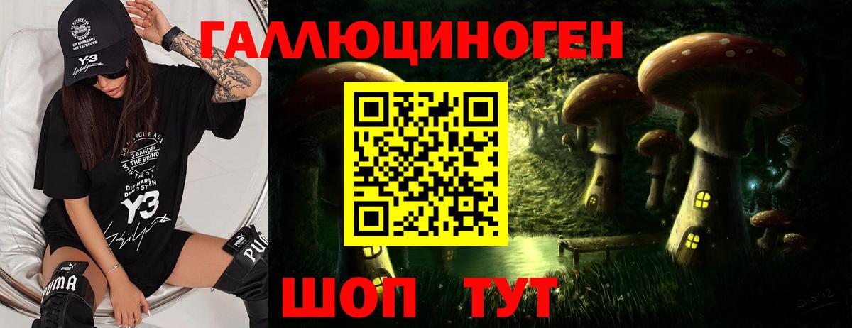 МЕФ Кострома